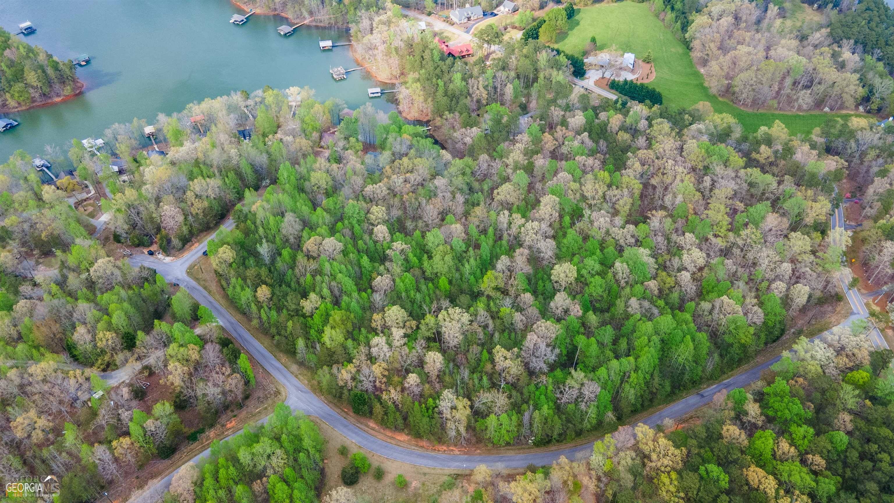 Martin, GA 30557,0 Twin Knolls TRL