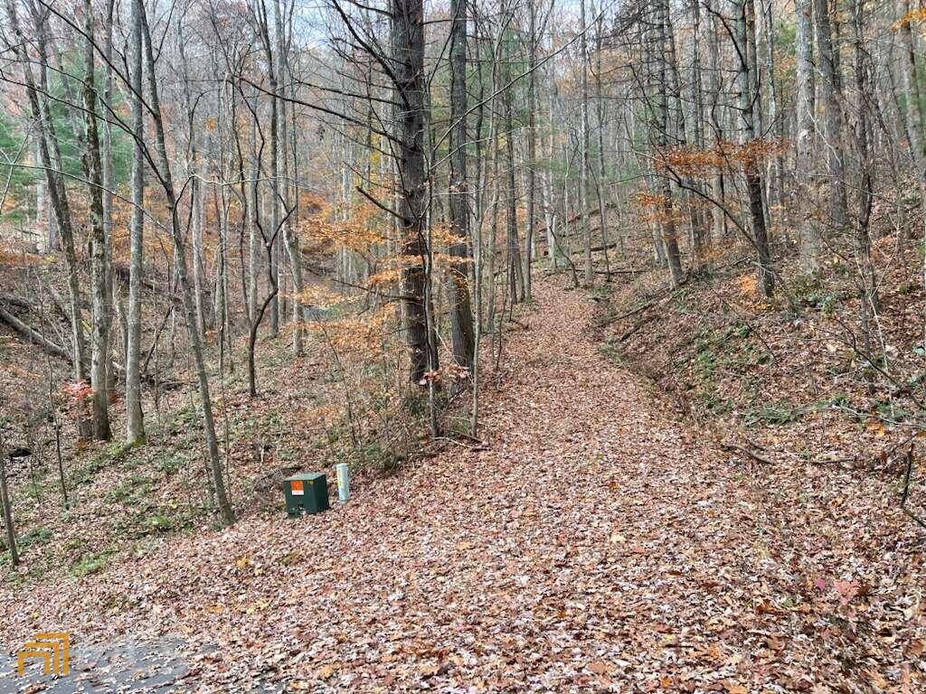 Hiawassee, GA 30546,3 White Oak Forest