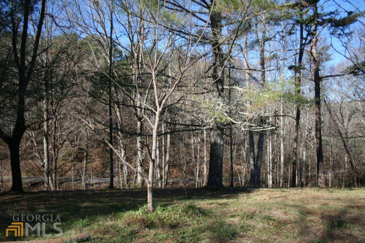 Mineral Bluff, GA 30559,57 Bluebird RD