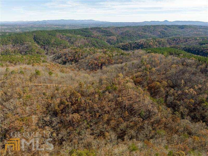 Ranger, GA 30734,11 Brite CT