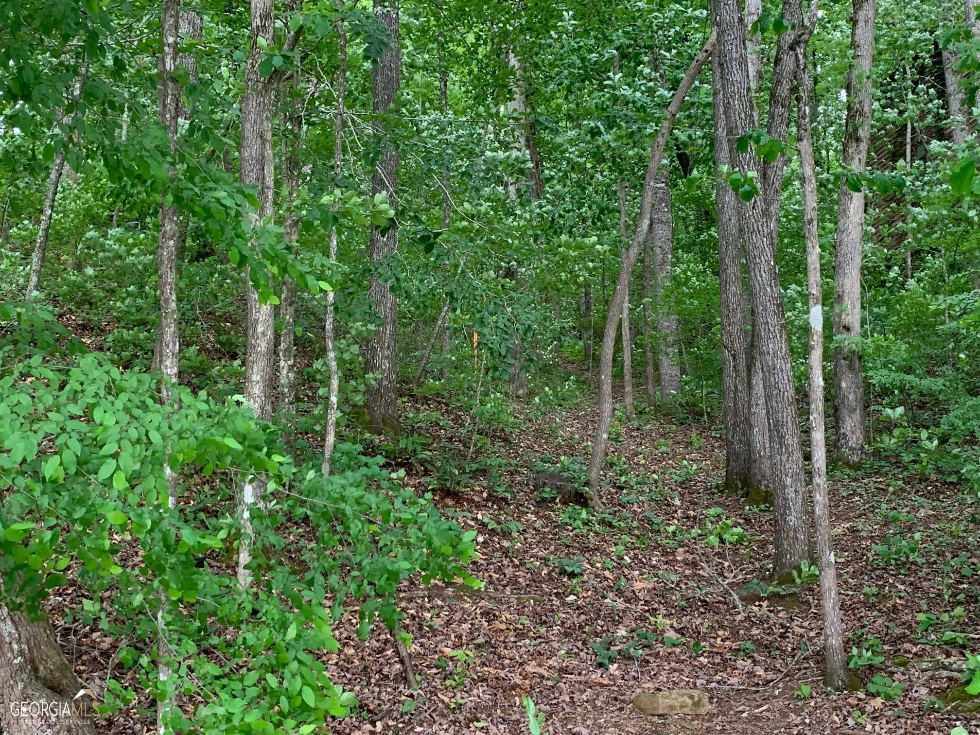 Dawsonville, GA 30534,LOT 9 Toto Creek DR W #9