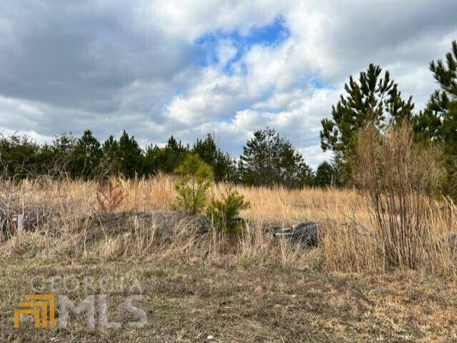 Fairmount, GA 30139,LOT107 Pinto LN