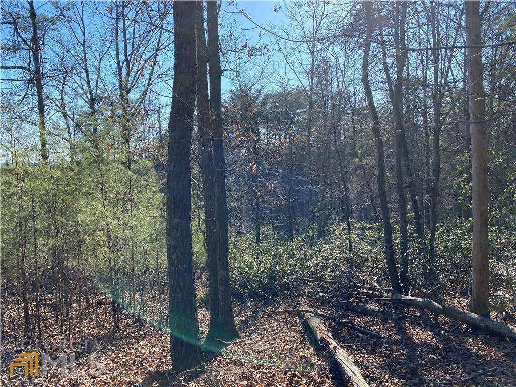 Dahlonega, GA 30533,6 Crown Mountain