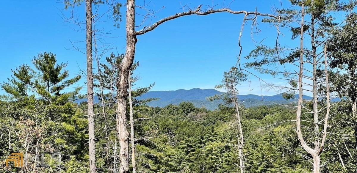 Ellijay, GA 30540,107 Fish Tale Cove CV