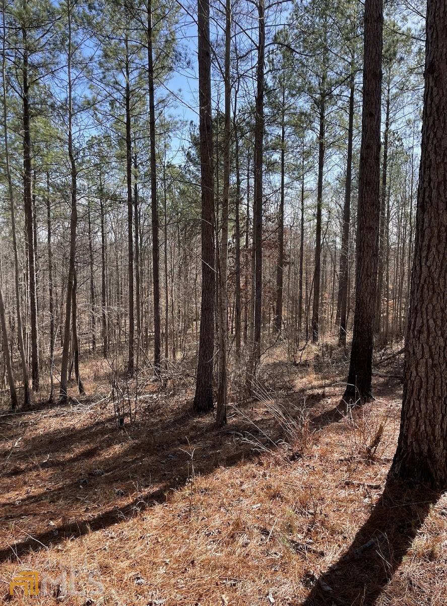 Whitesburg, GA 30185,LOT 1 Black Dirt