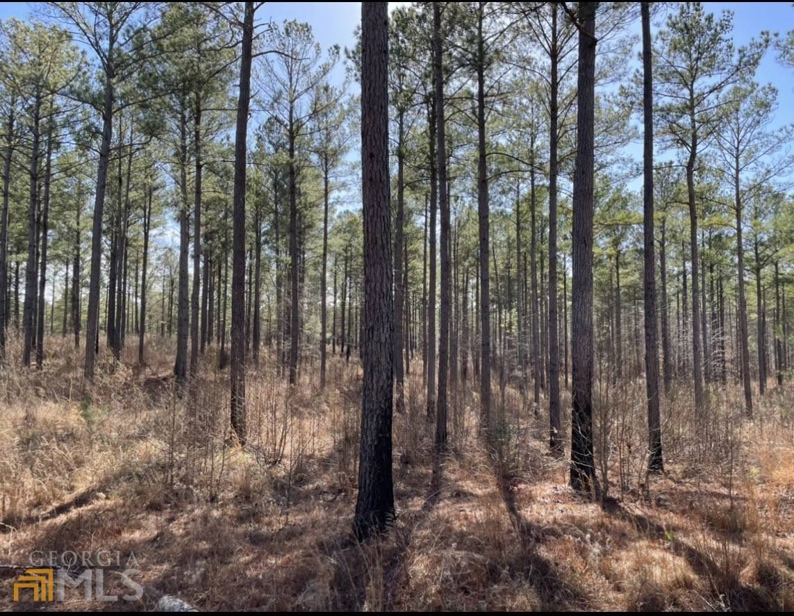 Whitesburg, GA 30185,LOT 3 Black Dirt RD