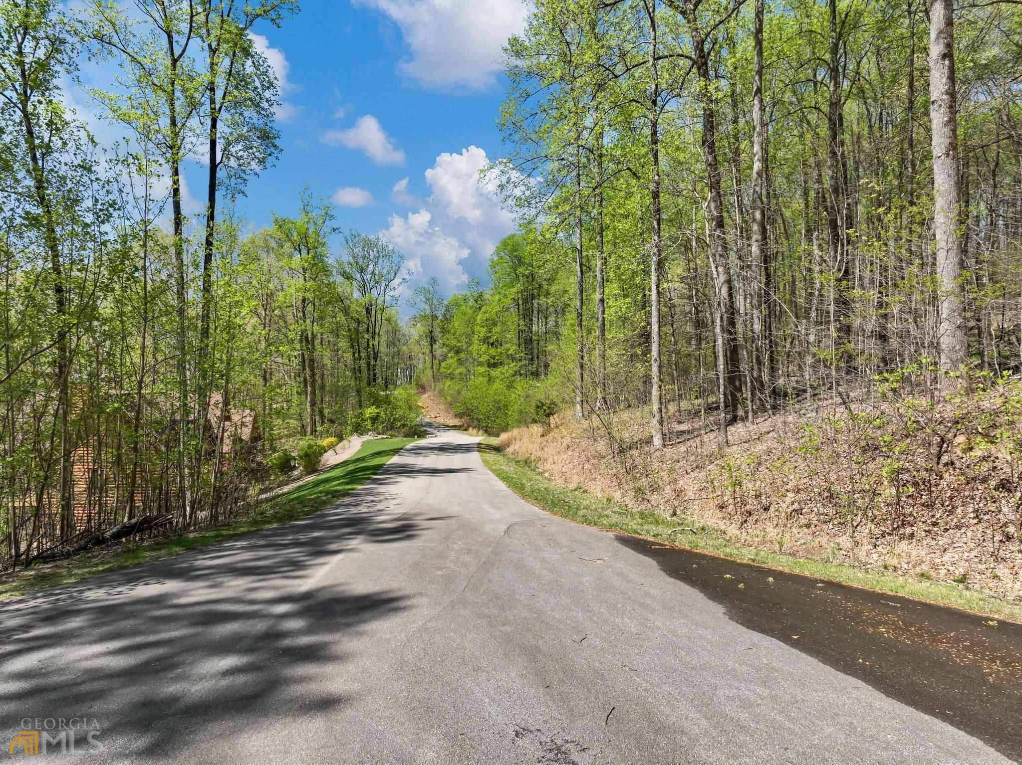 Cleveland, GA 30528,0 Stone Cliff