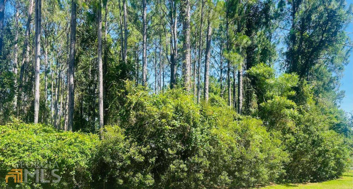 St. Marys, GA 31558,0 Green Buoy CT #484