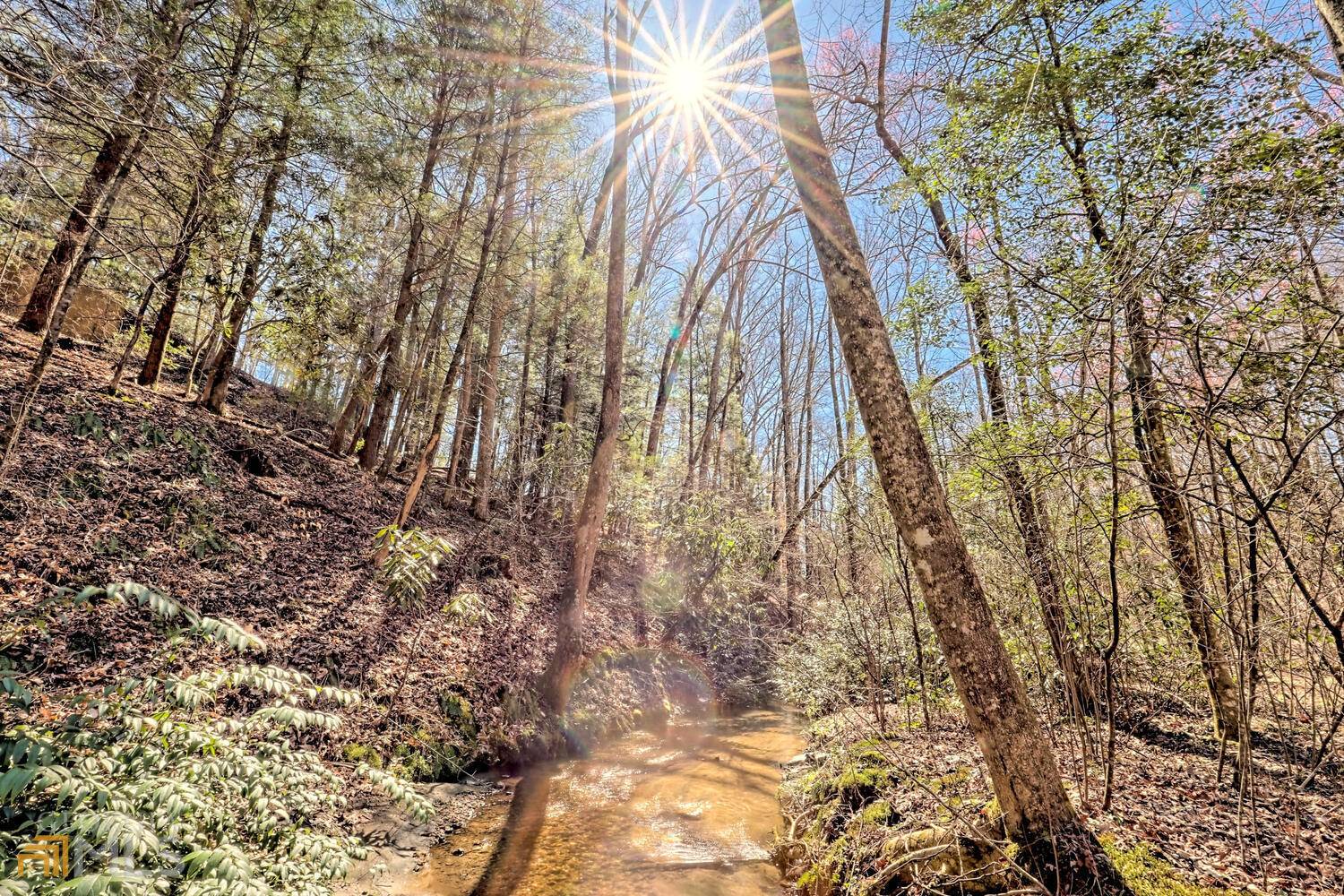 Clayton, GA 30525,221 Hemlock Ridge DR