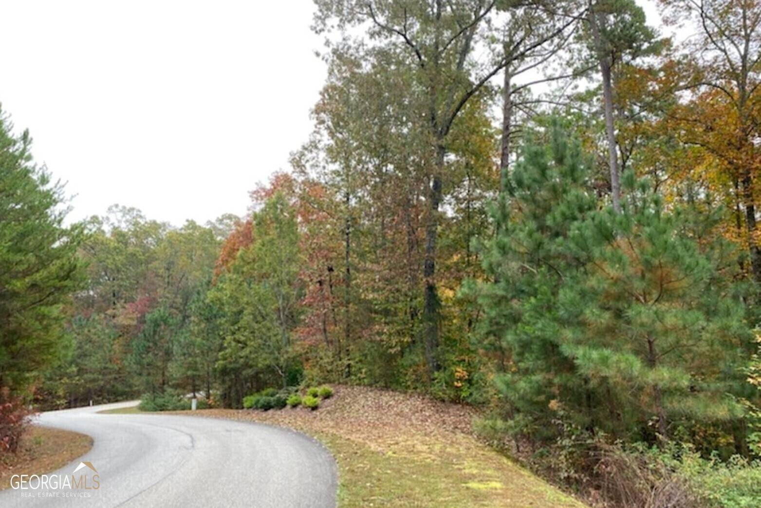 Ellijay, GA 30540,0 Harris Creek