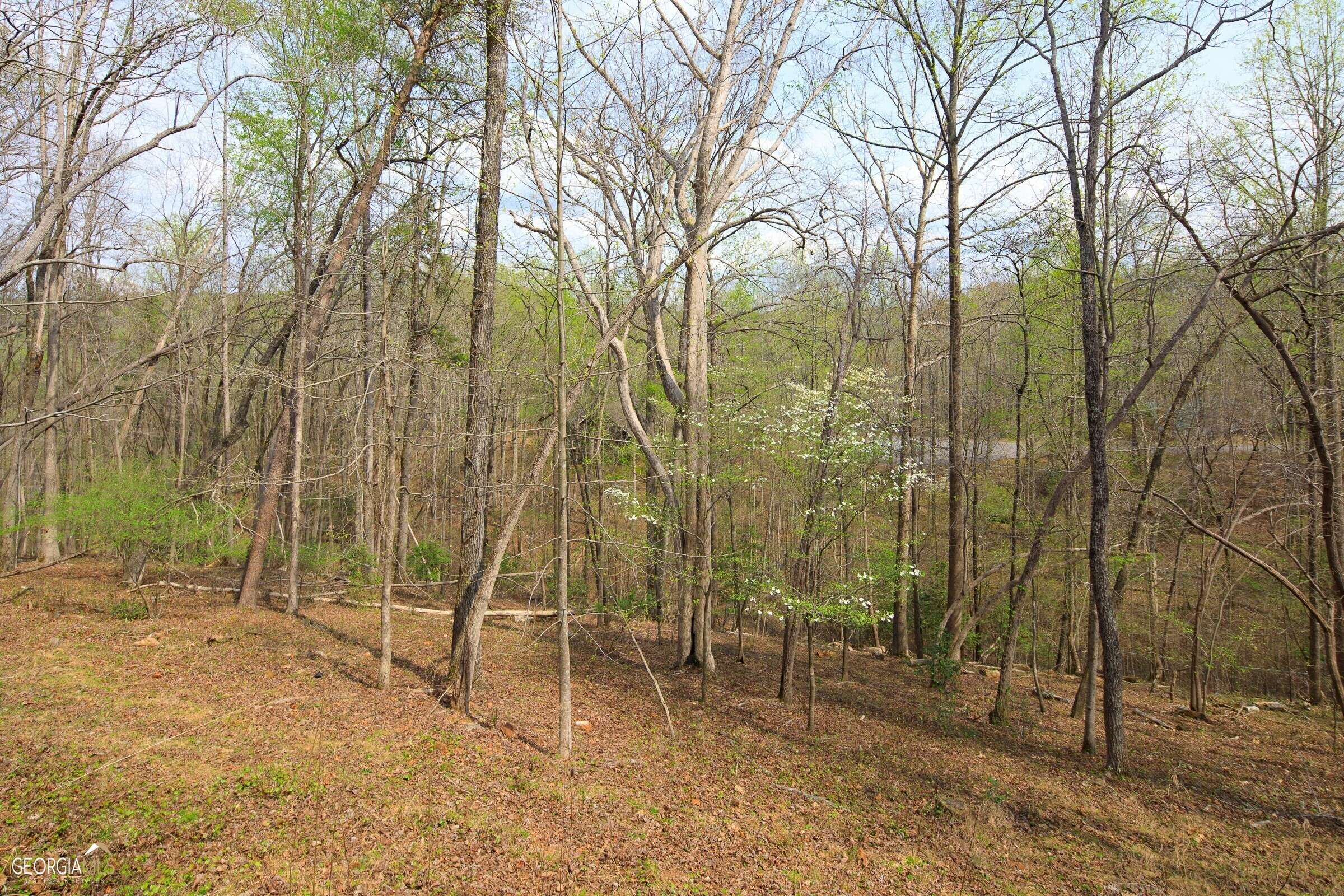 Dahlonega, GA 30533,130 Rocktree Overlook