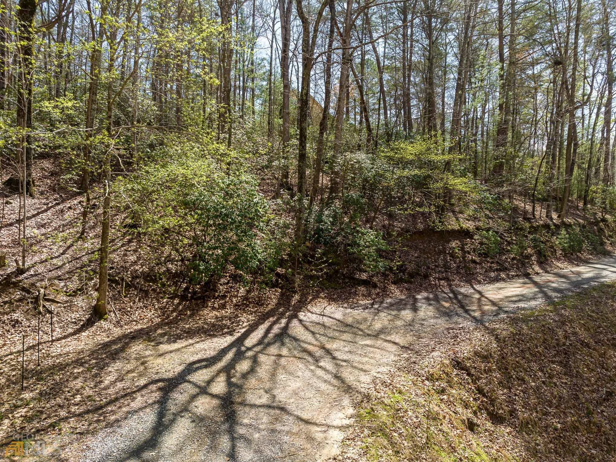 Ellijay, GA 30536,0 N Lake