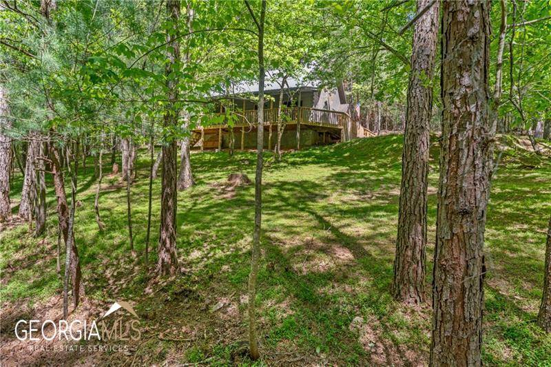 Ellijay, GA 30536,19 Blackberry Falls