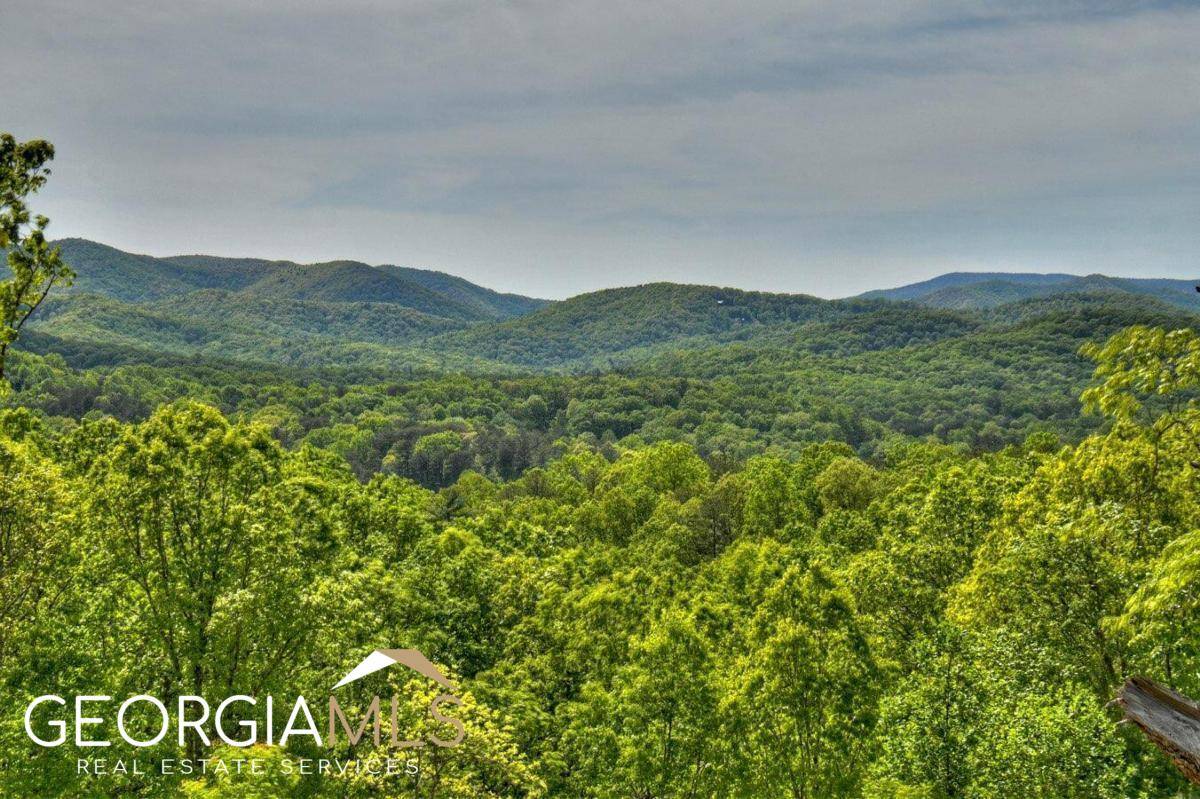Blue Ridge, GA 30513,938 Price RD