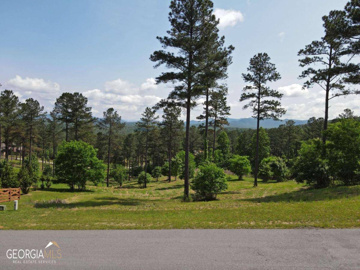 Blairsville, GA 30512,LOT 243 Thirteen Hundred