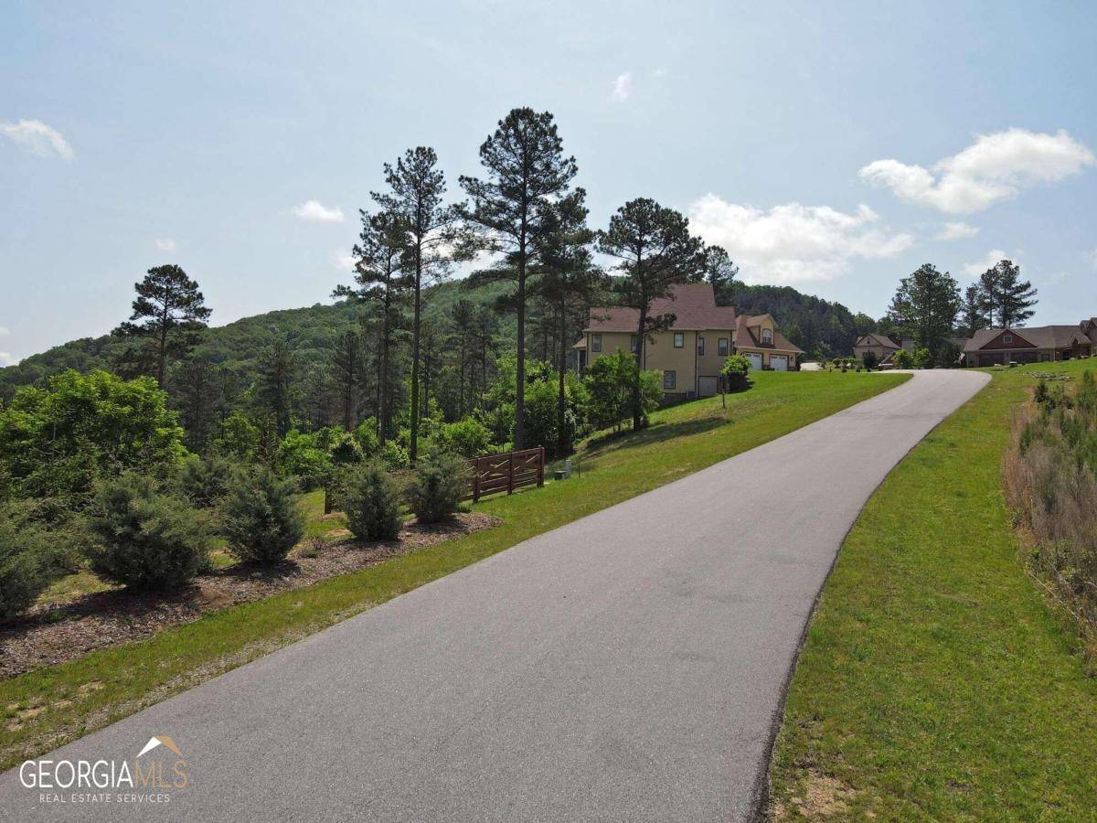 Blairsville, GA 30512,LOT 243 Thirteen Hundred