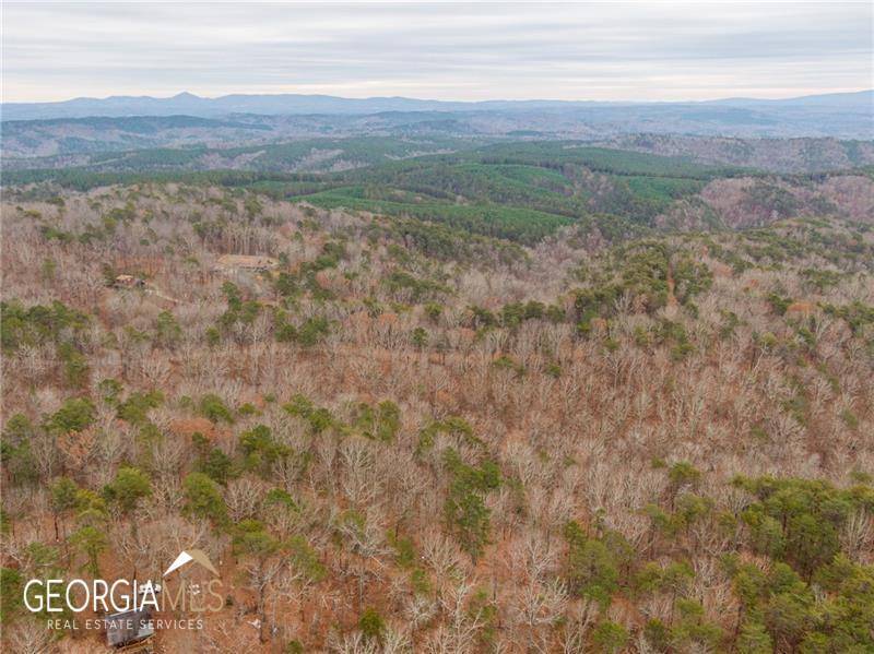 Ranger, GA 30734,1497 Derby CT NE