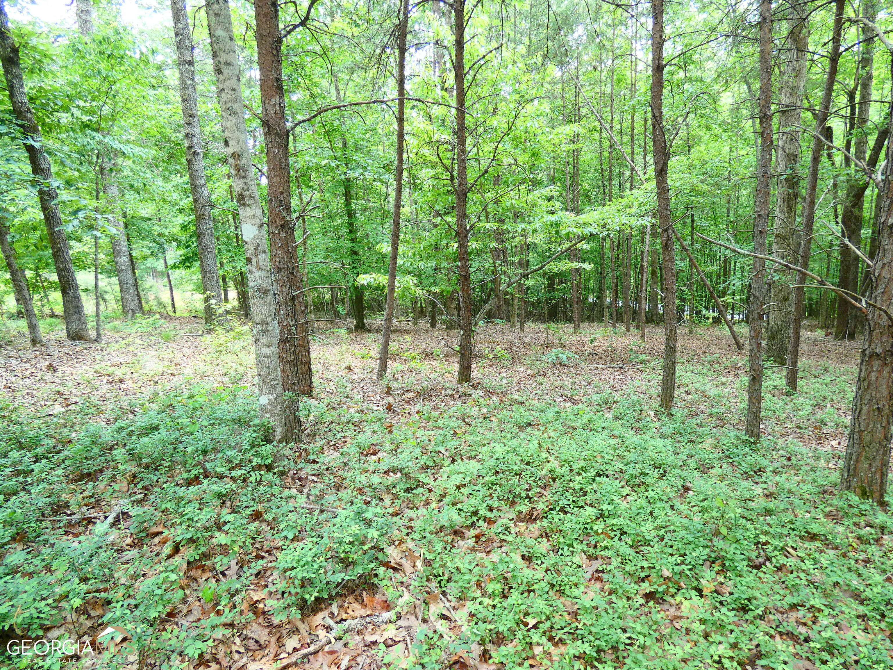 Cleveland, GA 30528,0 Lands End Trl (Lot 220)