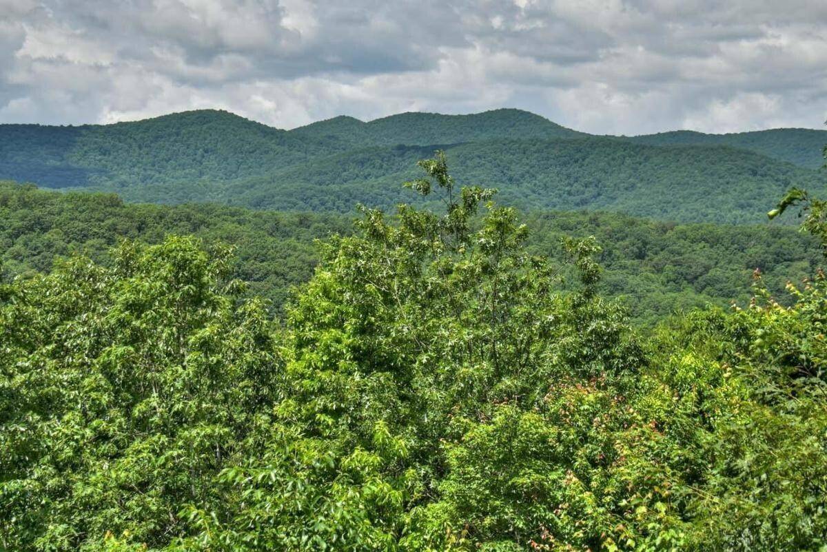 Cherry Log, GA 30522,616 Bushy Head RD