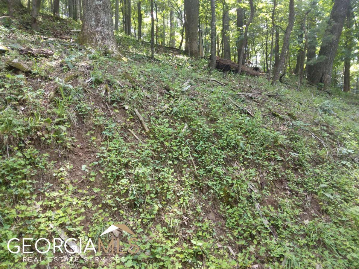 Ellijay, GA 30540,M213 Walnut Ridge #M213