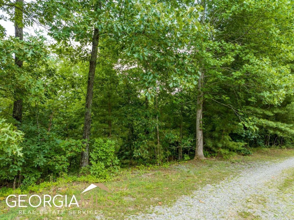 Ranger, GA 30734,LT923 Aurora LN