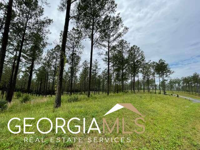 Ellijay, GA 30540,LT 68 High River