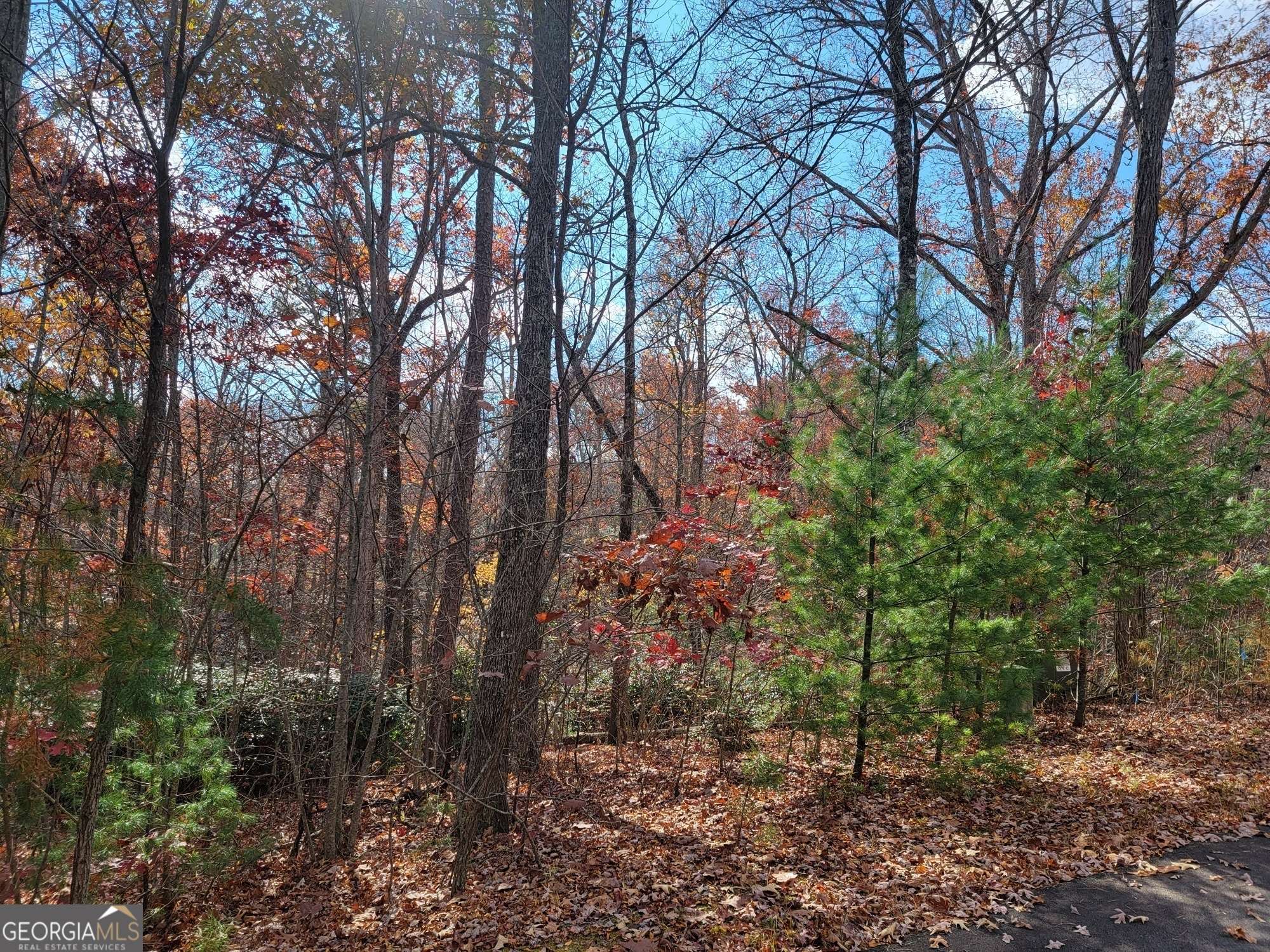 Morganton, GA 30560,LOT 45 Ralston Gap