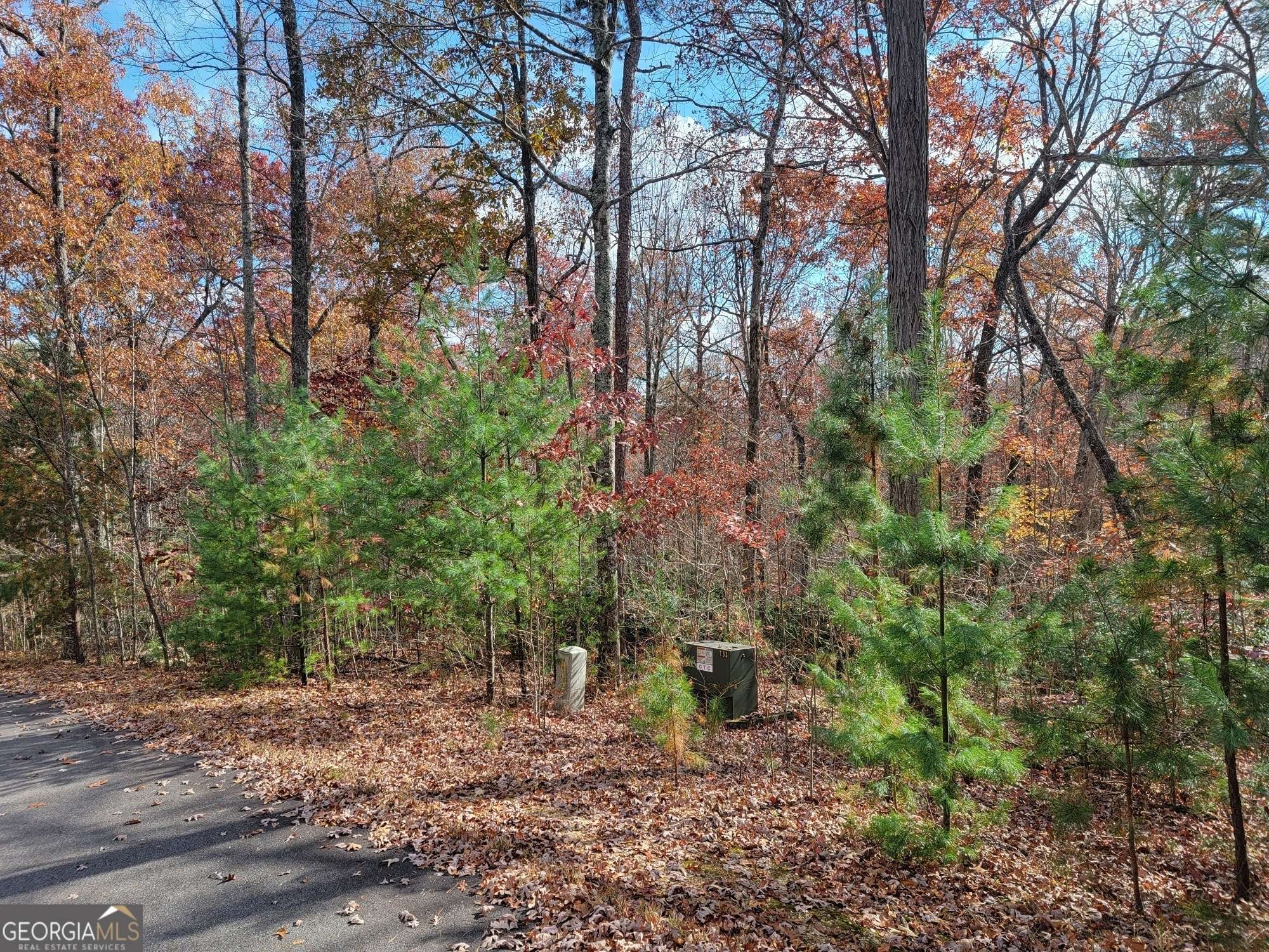 Morganton, GA 30560,LOT 45 Ralston Gap