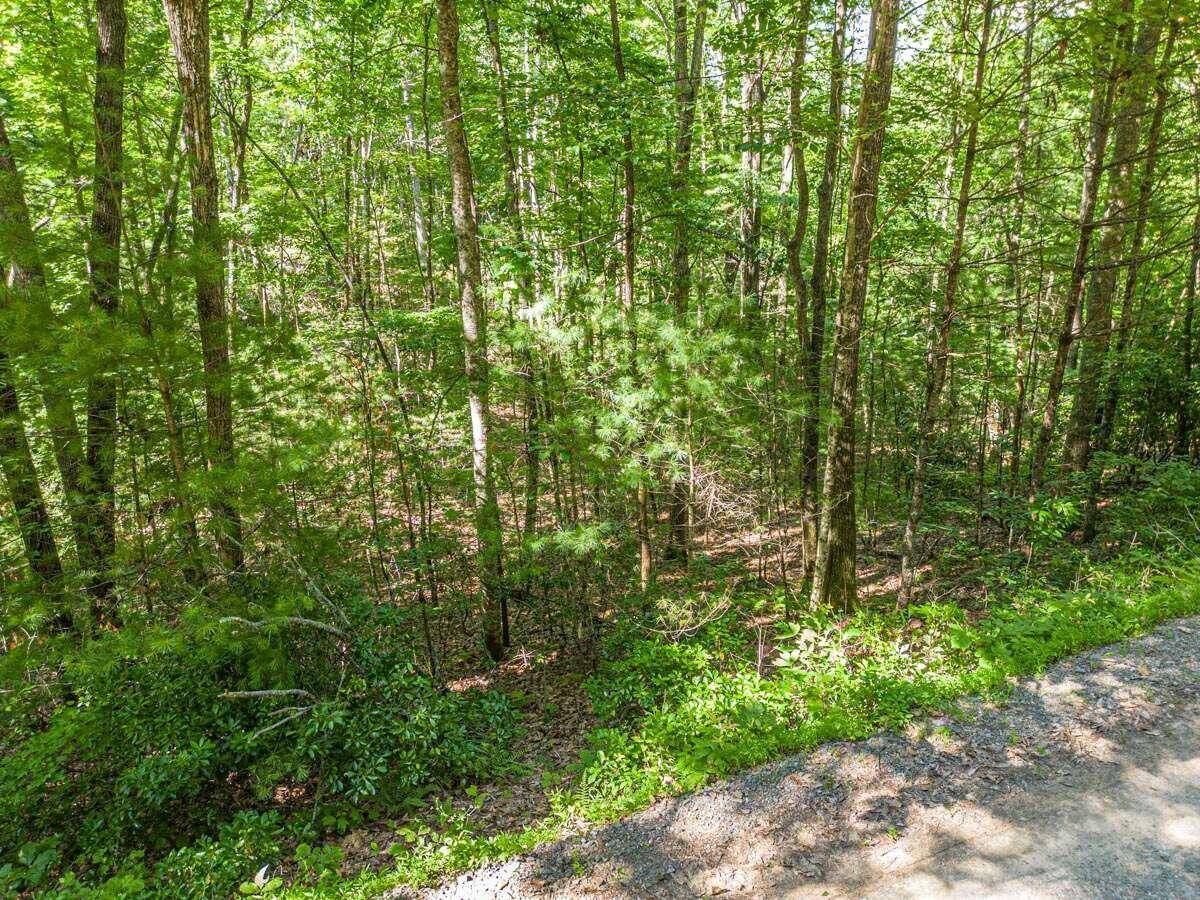 Mineral Bluff, GA 30559,LT 12 Hickory DR #12