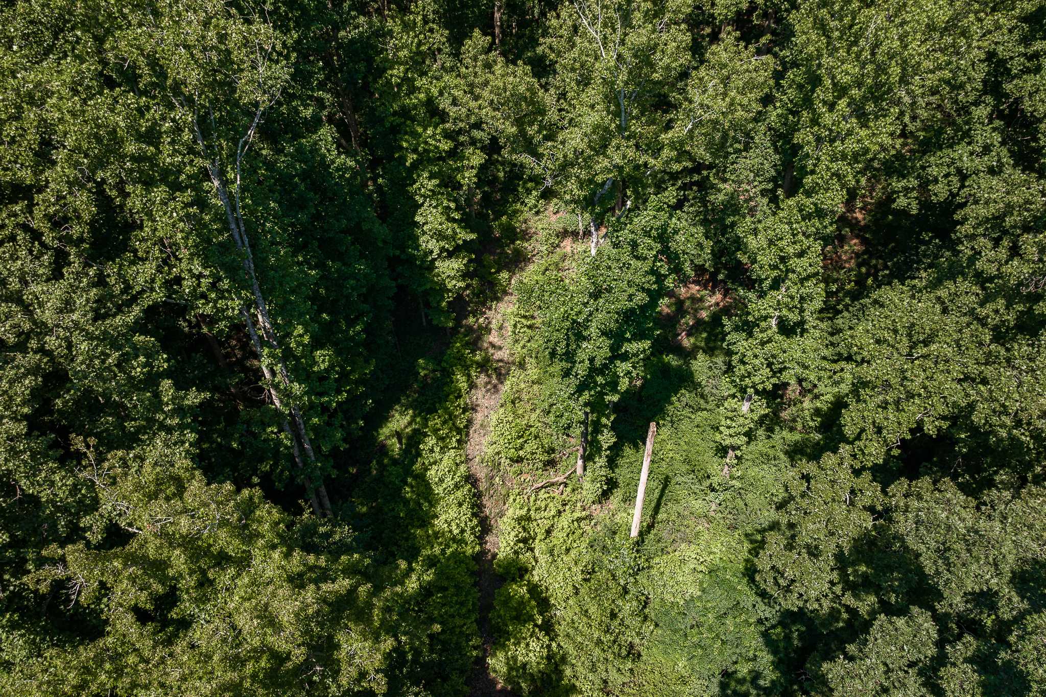 Watkinsville, GA 30677,1090 Bridlegate DR
