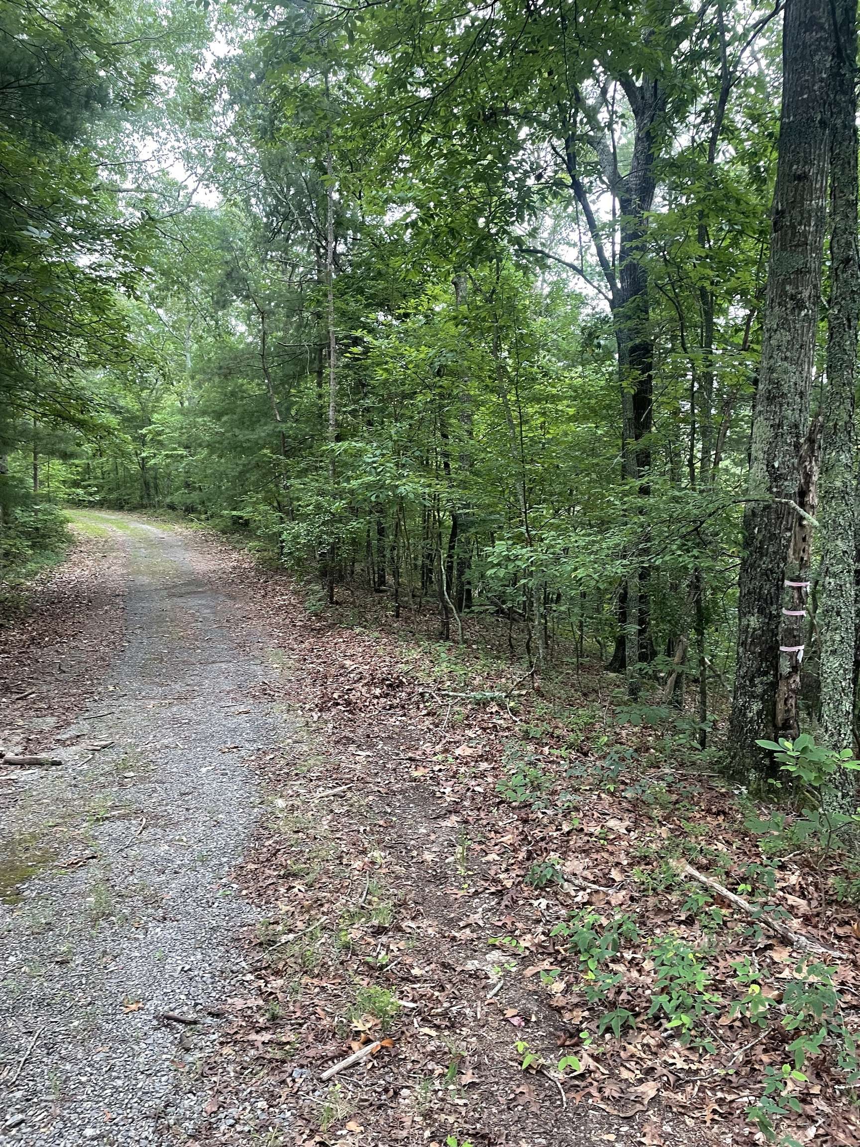 Ranger, GA 30734,493 Naomi CT