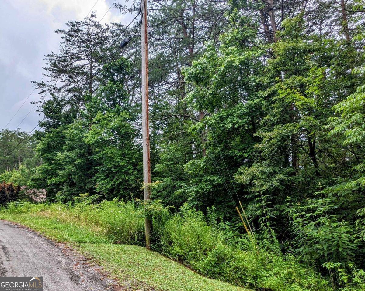 Turtletown, TN 37391,LOT32 Lakeview DR