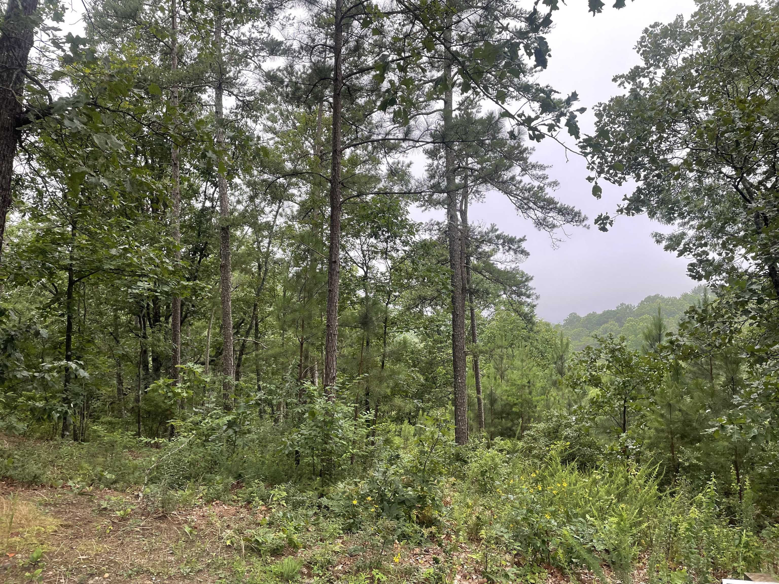 Ranger, GA 30734,425 Marble