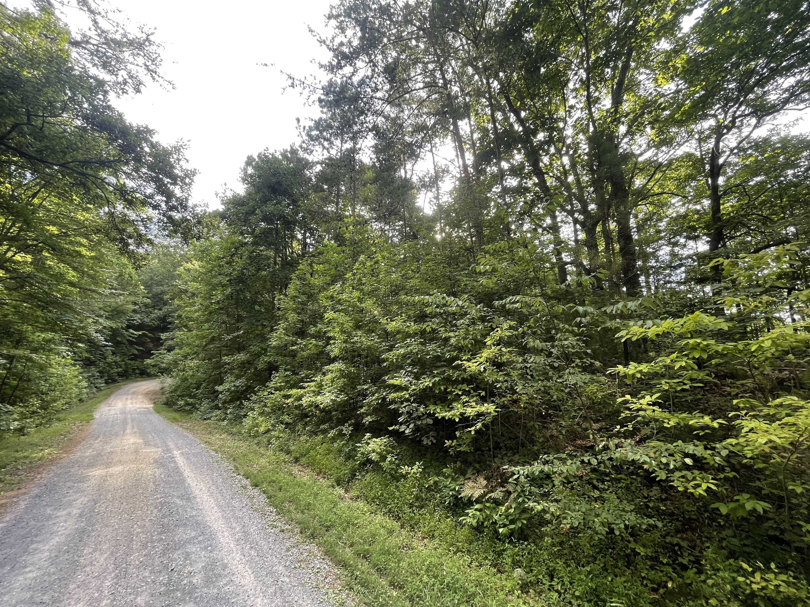Ranger, GA 30734,1071 Mayfield LN NE