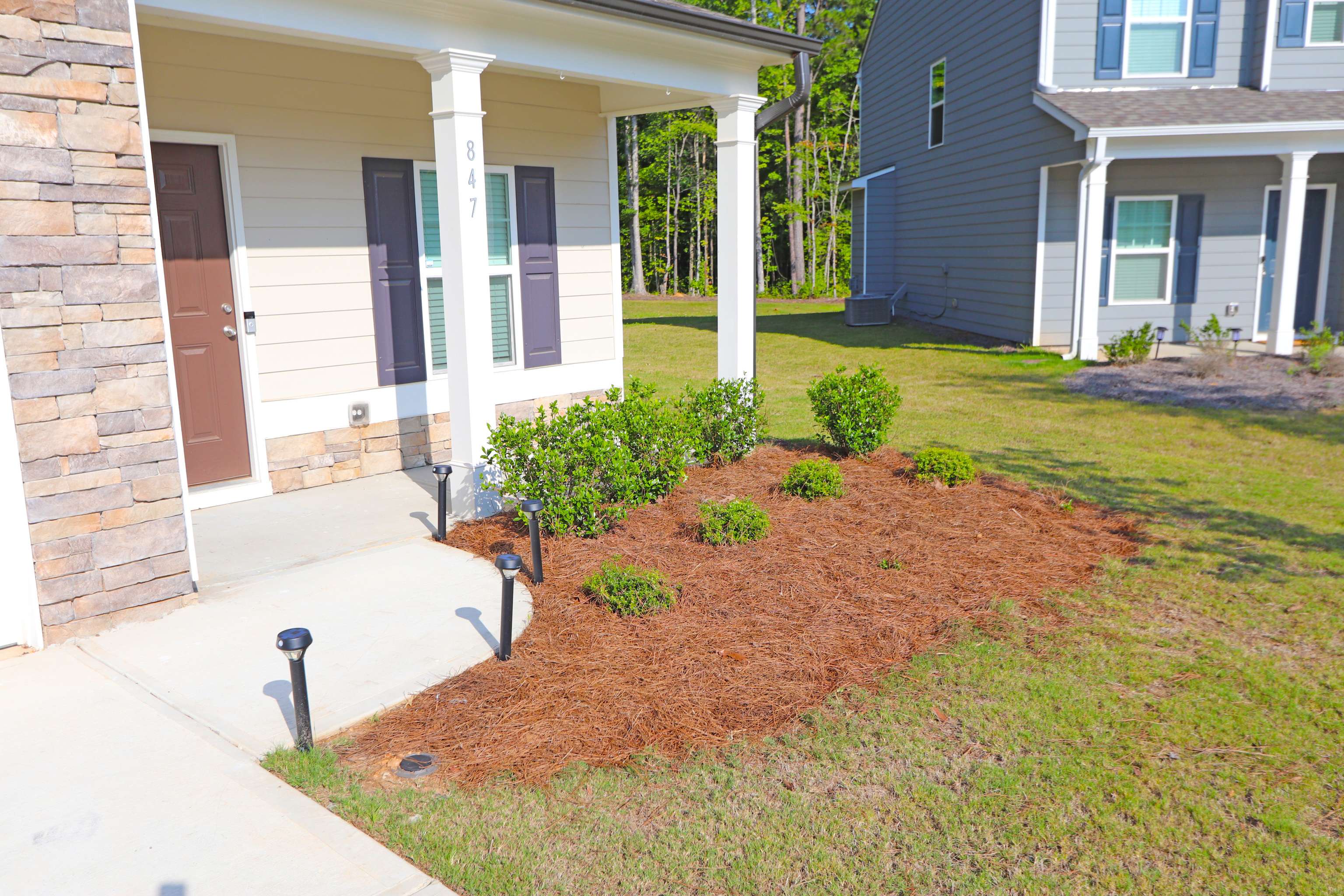 Bremen, GA 30110,847 Brown Thrasher