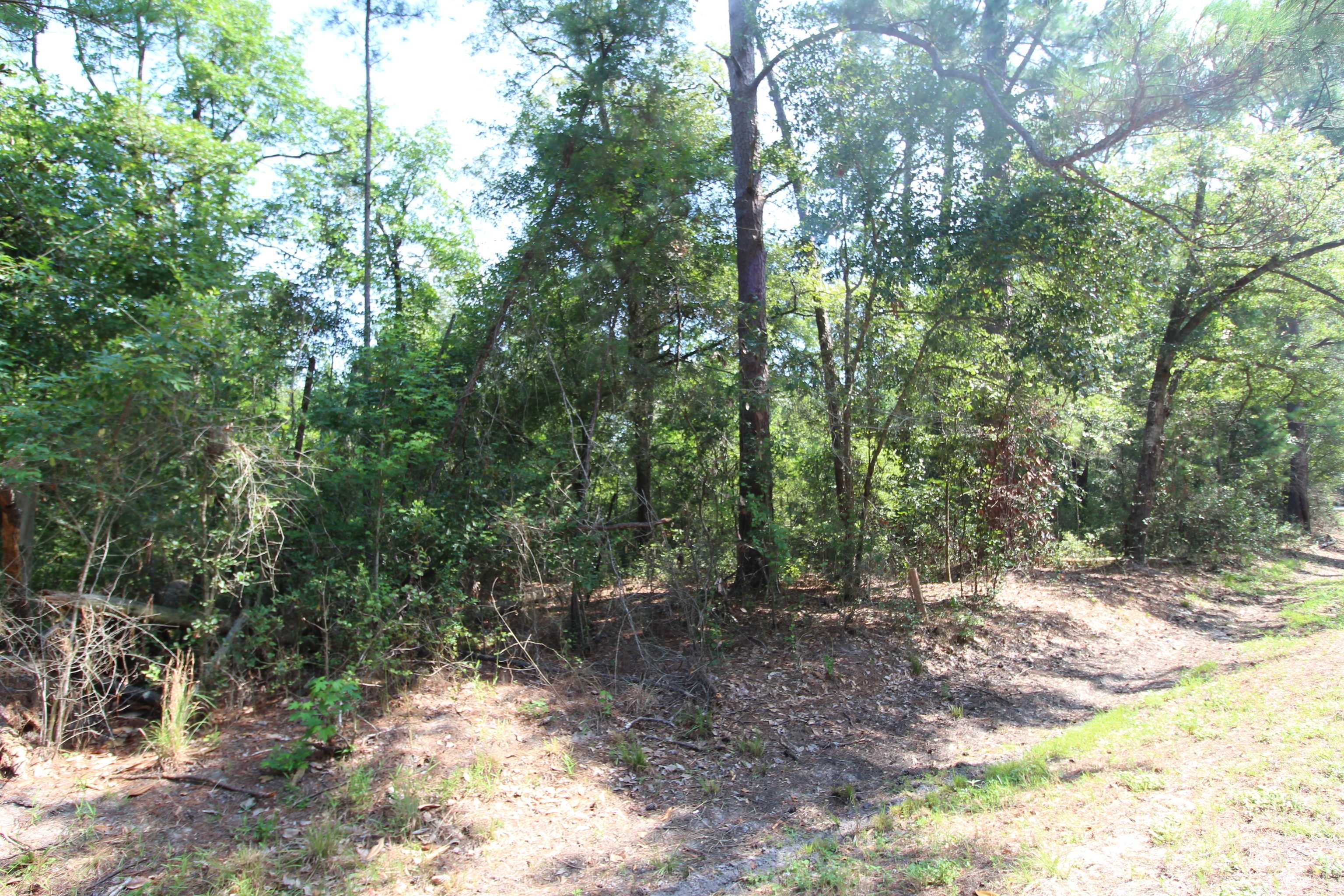 Springfield, GA 31329,0 Highway 119 N