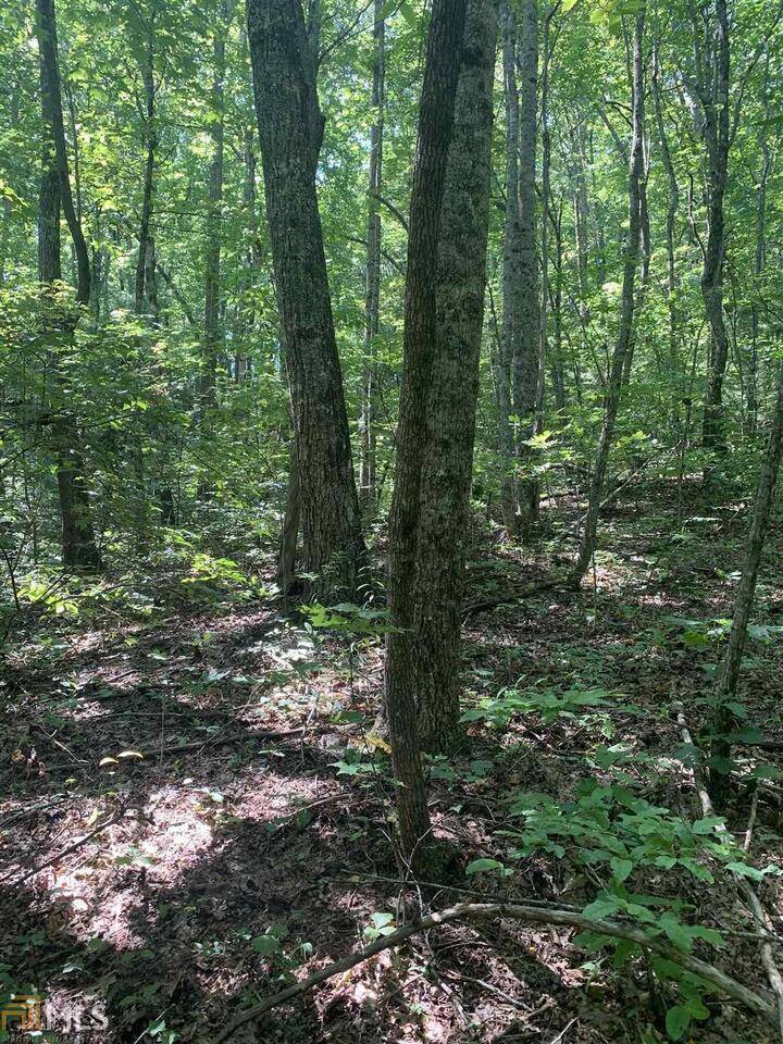 Sky Valley, GA 30537,0 N Woods Pt 3 #67