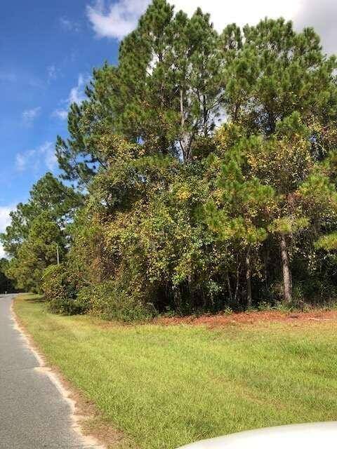 Blackshear, GA 31516,47 +/- ACRES Live Oak