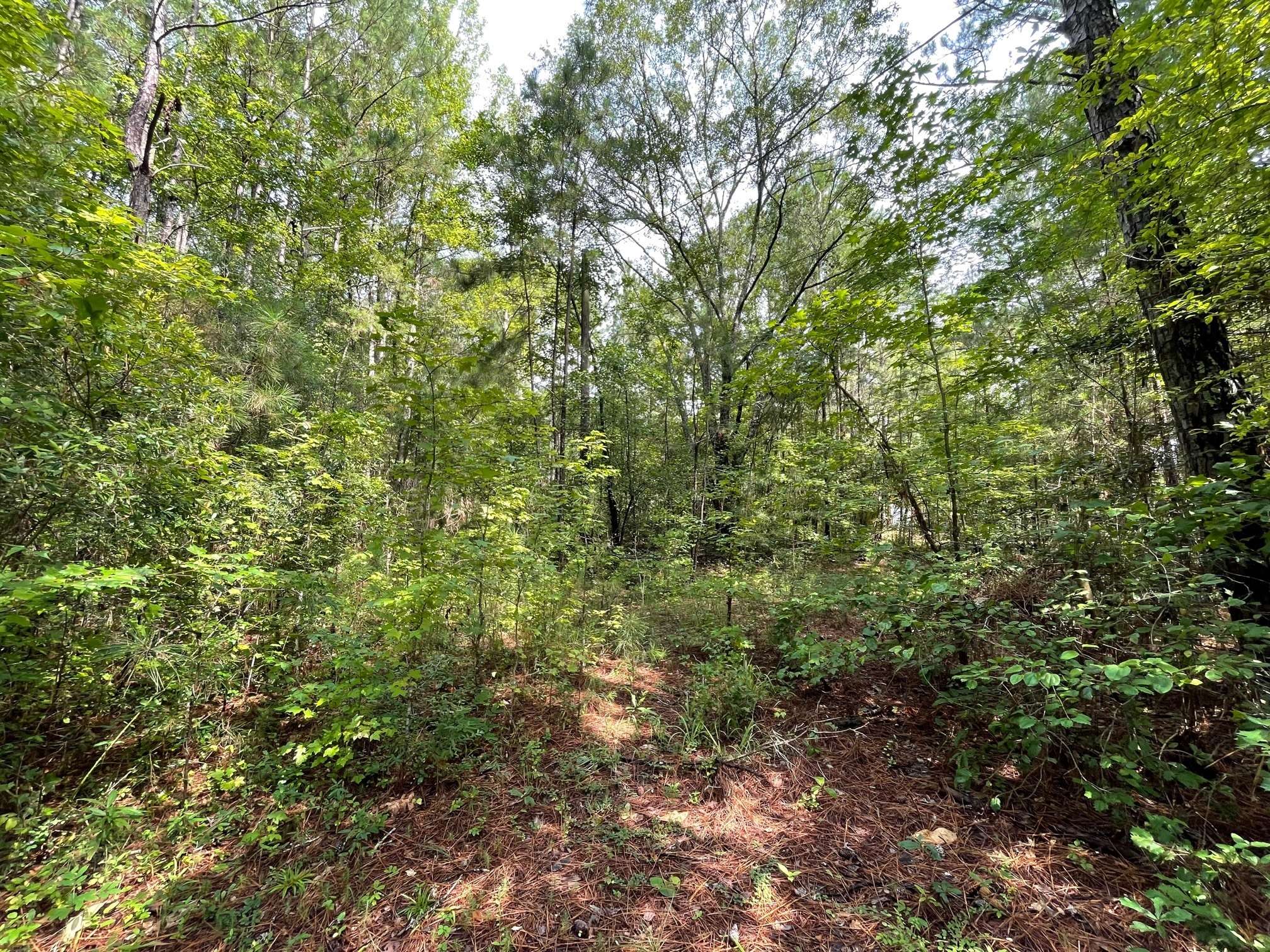 Pine Mountain, GA 31822,0 Chipley HWY
