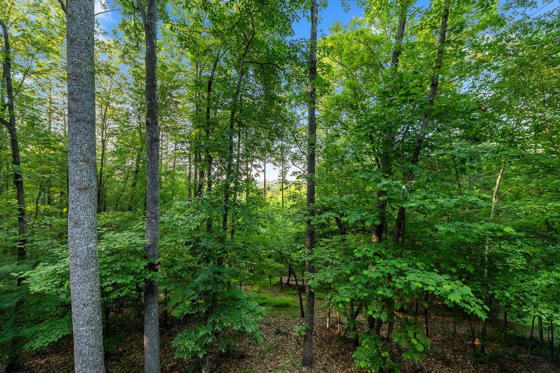 Morganton, GA 30560,LOT 1 Hemptown