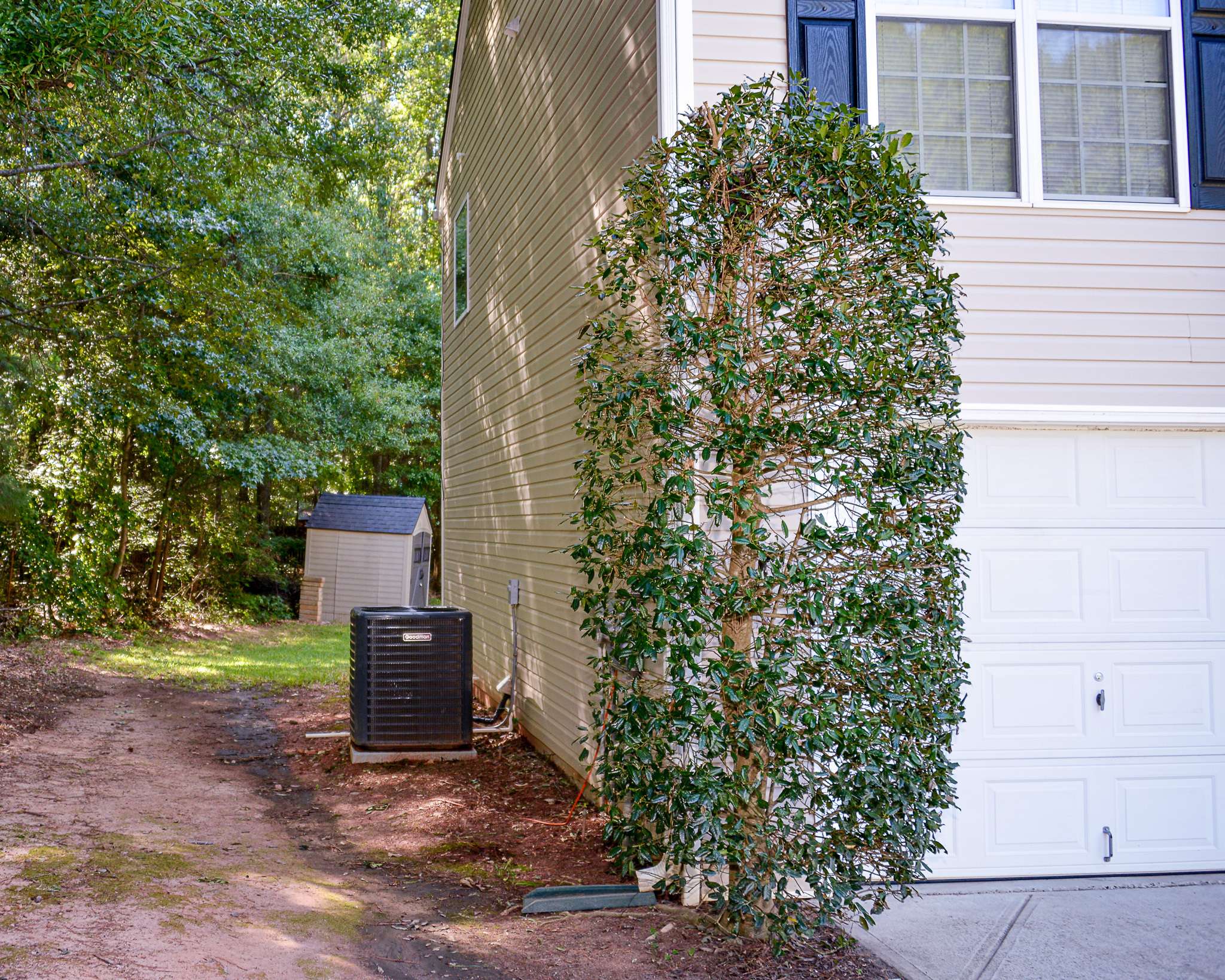 Statham, GA 30666,1649 Amalie