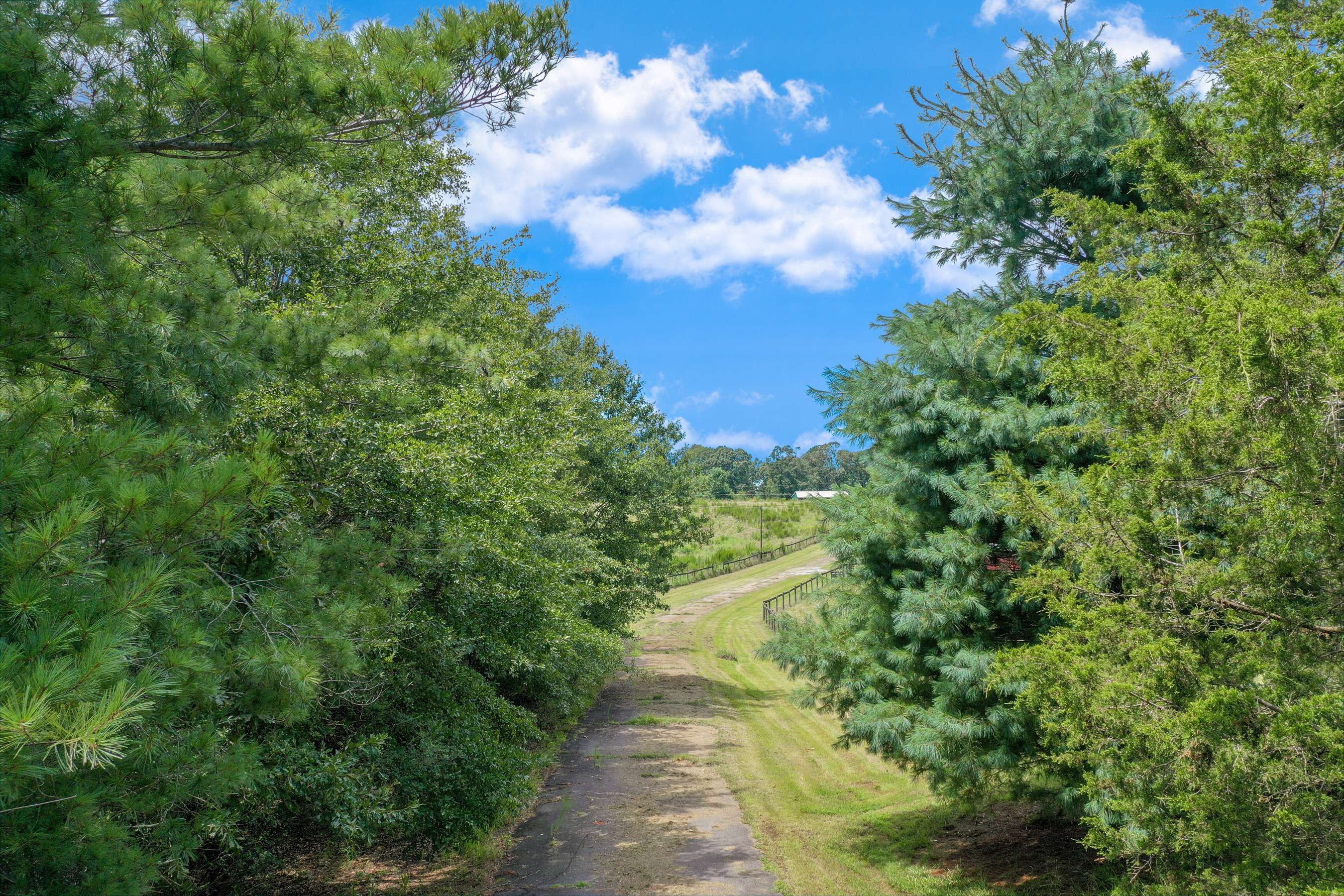 Flowery Branch, GA 30542,6300 Jones RD