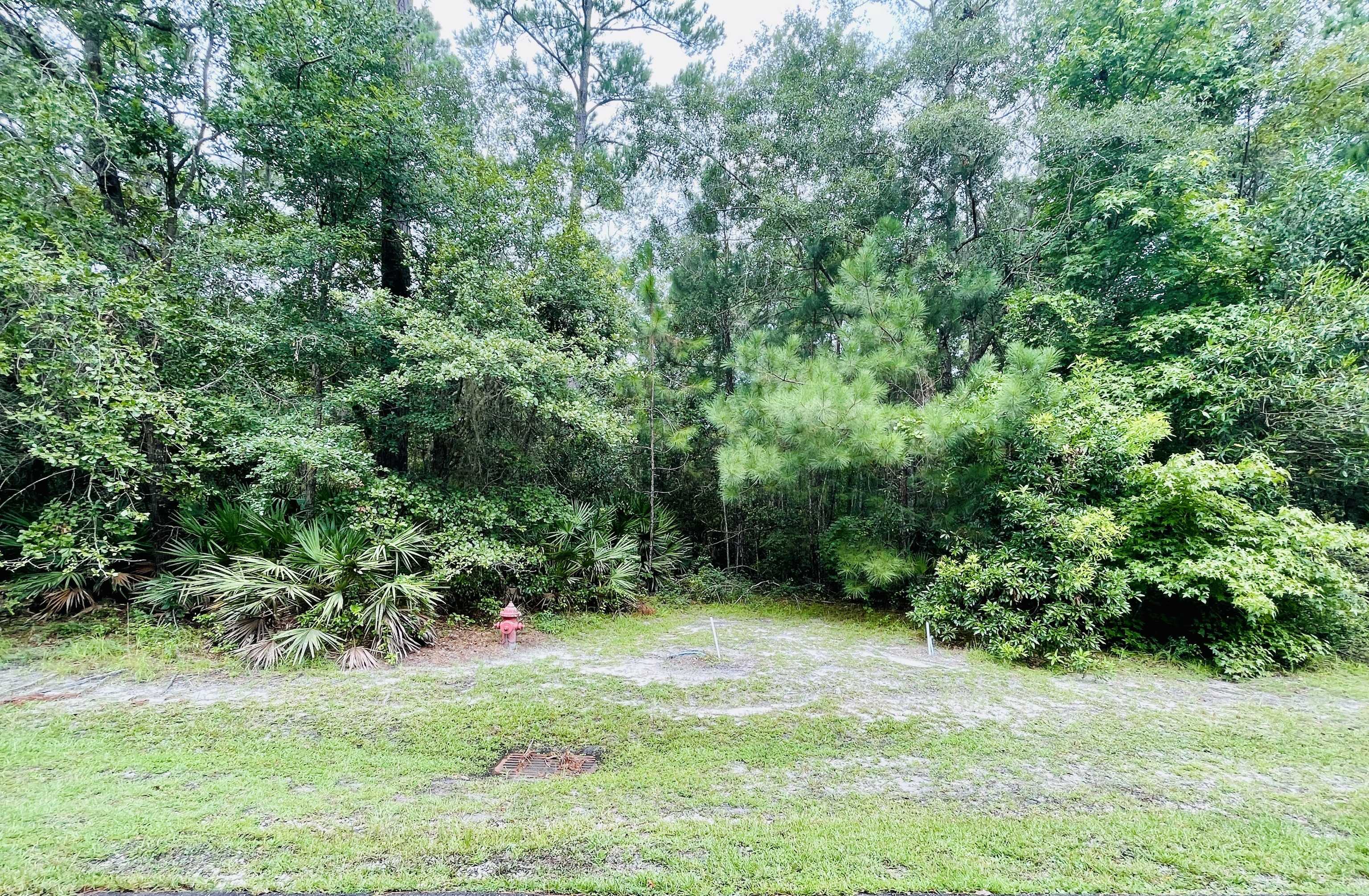 Waverly, GA 31565,LOT 16-C River Place Drive