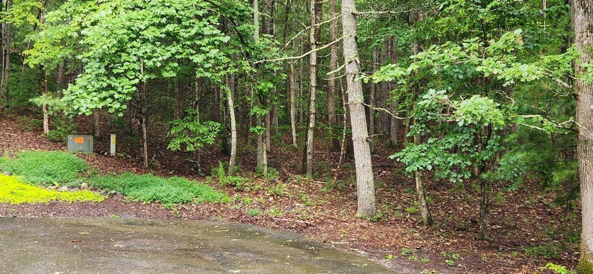 Blairsville, GA 30512,LOT 8 Enchanted FRST