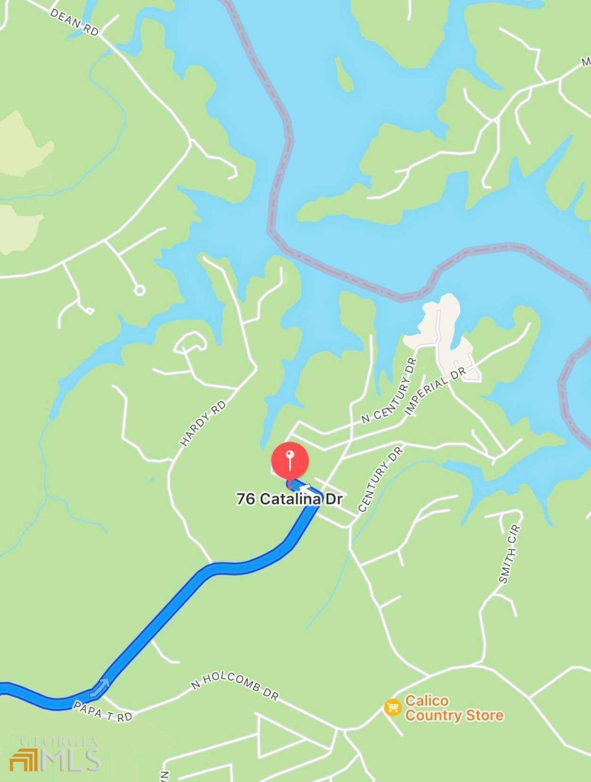 Martin, GA 30557,76 Catalina DR #79