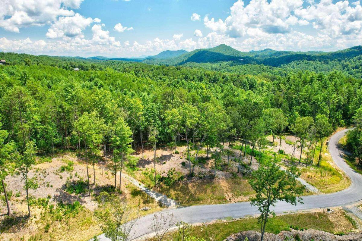 Mineral Bluff, GA 30559,LOT 2 Laurels Of Blue RDG