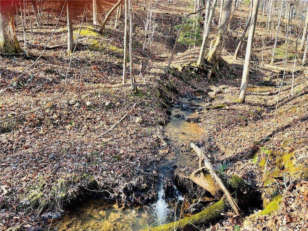 Dahlonega, GA 30533,49 Old Stamp Mill