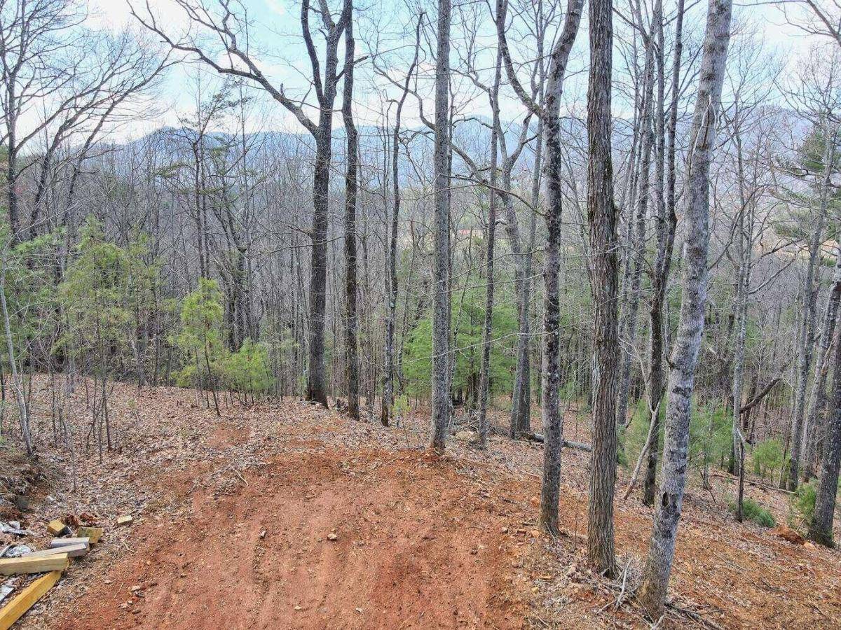 Hiawassee, GA 30546,LT17 Mill