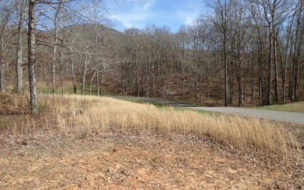 Blairsville, GA 30512,00 Arbor