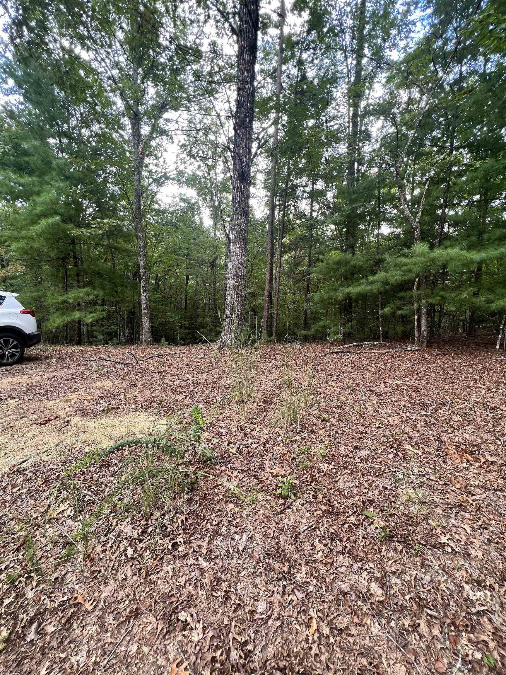 Murphy, NC 28906,14 LOTS Hedden